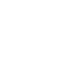 skf (1)